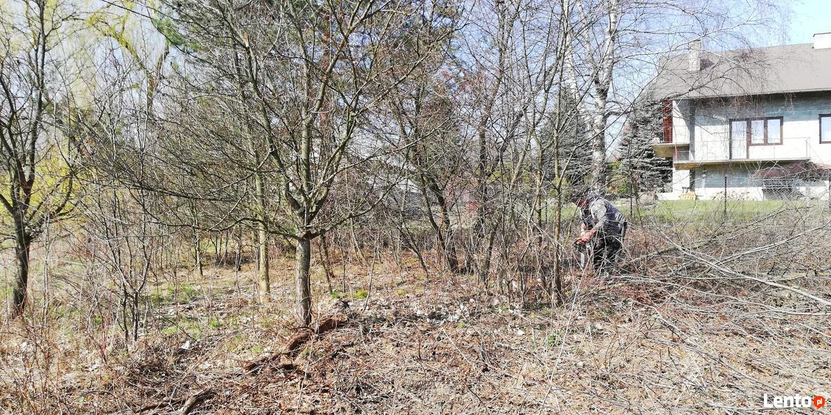 Rekultywacja Terenu Karczowanie Drzew Wycinka Samosiejek Wieliczka