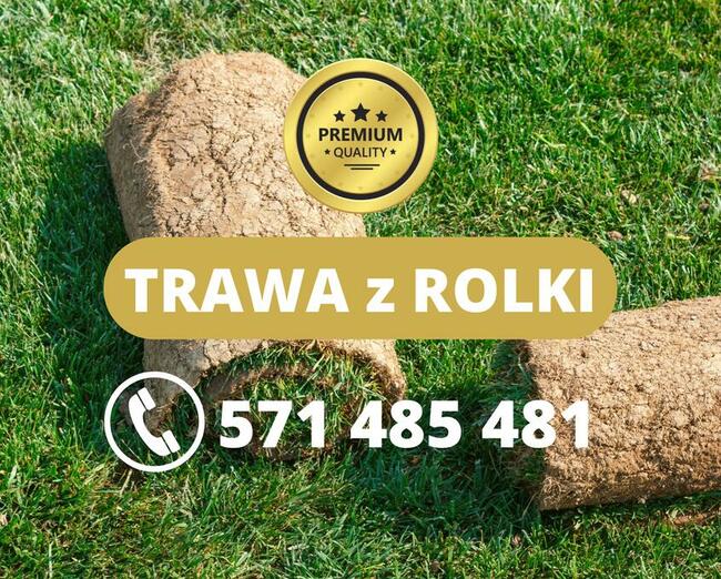 Archiwalne Trawnik Z Rolki Trawa Z Rolki W Rolkach Dostawa Bielsko