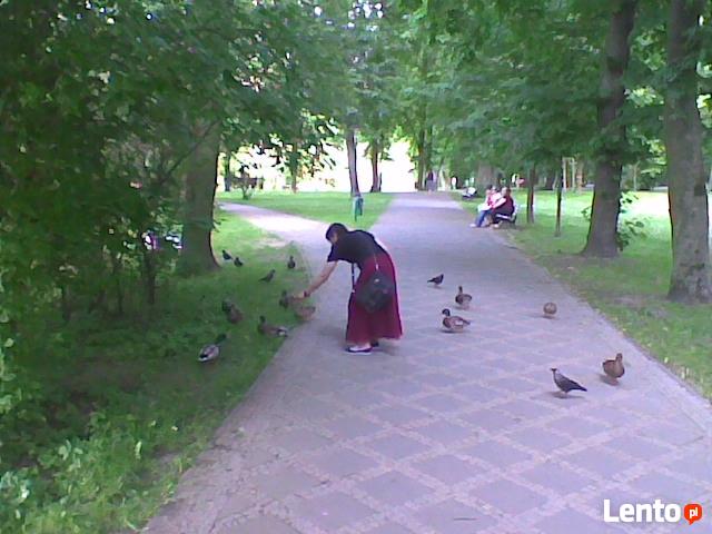 Archiwalne szukam pracy Nałęczów