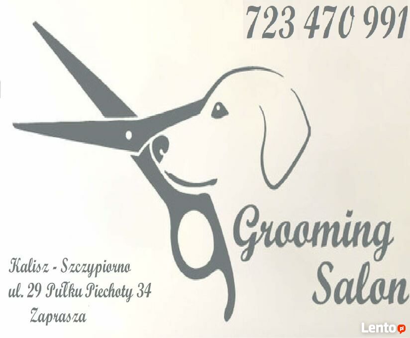 Archiwalne Fryzjer Zwierzecy Kalisz Groomer Salon Kalisz