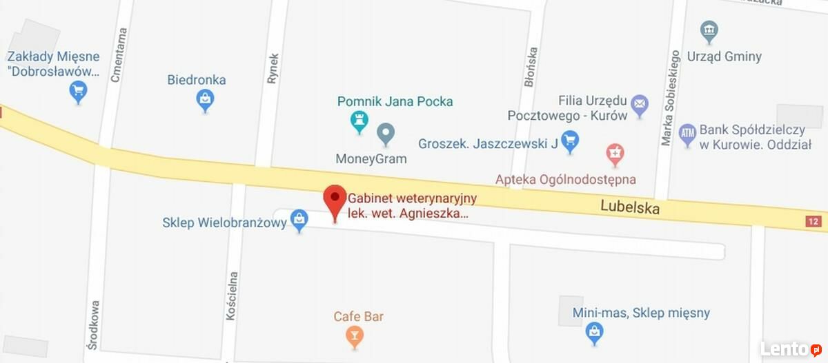 Psi Fryzjer Groomer Strzyżenie Psów Markuszów Markuszów