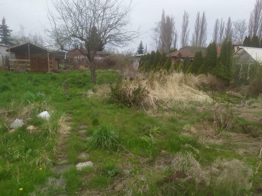Rod Szczecin Wolne Działki 2020 Działka rekreacyjna ROD Port Centralny Szczecin