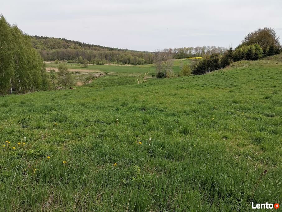 Ziemia rolna na sprzedaż (łąki) w miejscowości Gołąbki Pasłęk