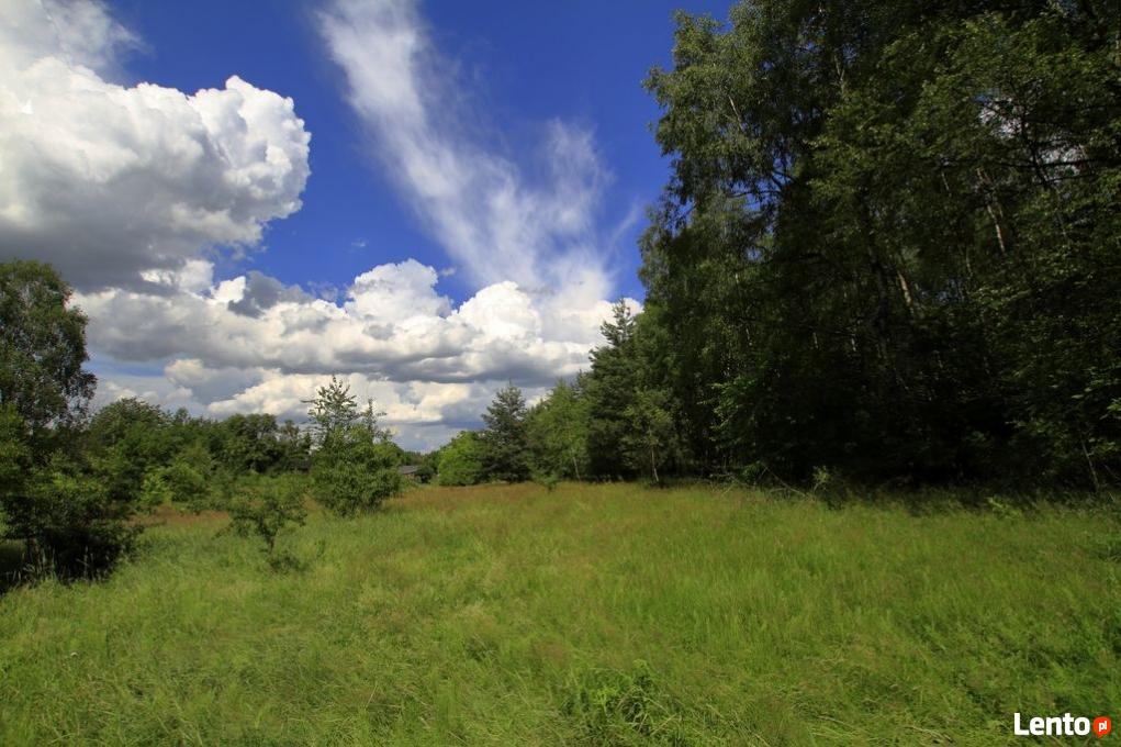 Archiwalne Park Wzniesień Łódzkich, Dąbrowa (Kalonka), 92701 Łódź Kalonka