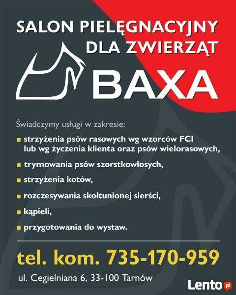 Archiwalne Baxa Tarnow Salon Pielegnacyjny Dla Zwierzat Tel 735 170 959 Tarnow