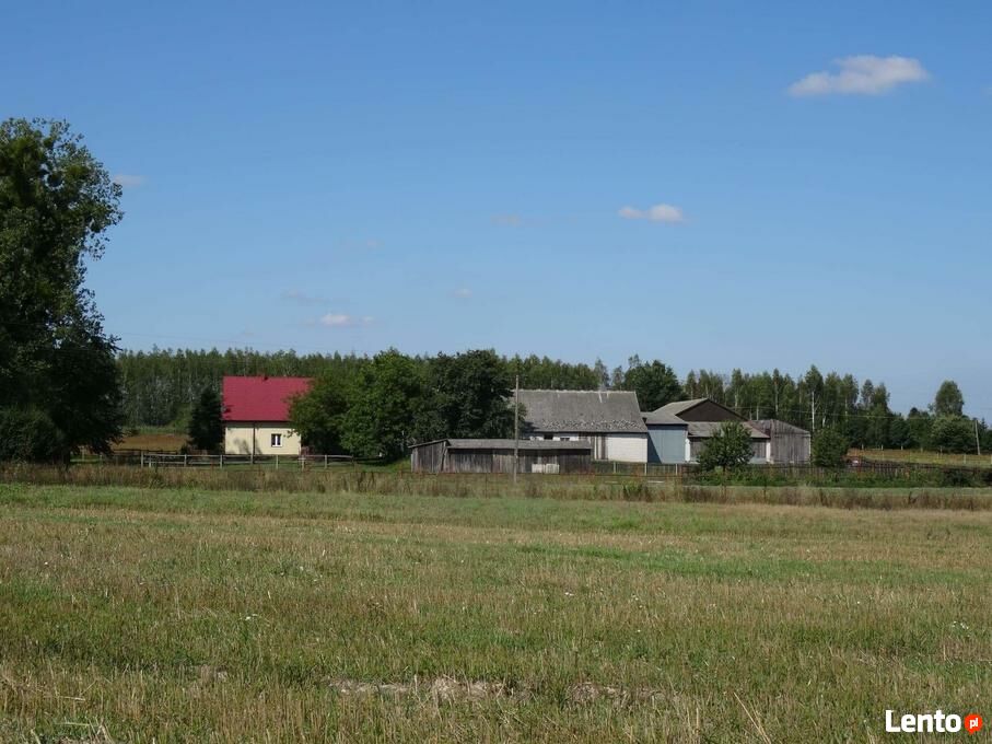 Sprzedam Tanio Gospodarstwo Rolne Pomorskie Archiwalne Sprzedam gospodarstwo rolne! Mszadla Stara