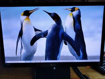 Komputer i5 DDR3 HDE + monitor LED 23 1000GB HD