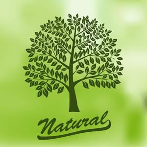 www.uzdrowiciel-terapie-naturalne.com - 11
