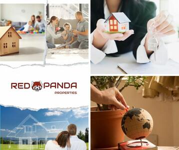 Red Panda Properties - 4