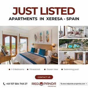 Red Panda Properties - 12