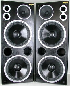 Potężne kolumny głośnikowe Audiomega 1000w Fonics Stx