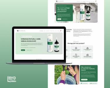 BigTalk - Strony internetowe Poznań - 2
