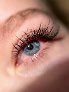 Ansty Lashes &amp; Beauty Bar - 2