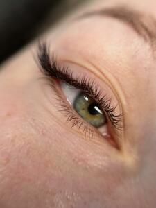 Ansty Lashes &amp; Beauty Bar - 9