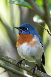 Spływy Krutynią z AS-TOUR  Krutyń oraz Ukta - 1