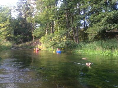 Spływy Krutynią z AS-TOUR  Krutyń oraz Ukta - 8