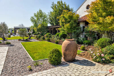 www.OdcienieZieleni.com - 12