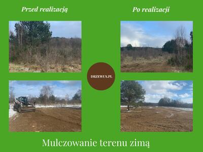 Drzewus - Usługi ogrodnicze i ziemne - 2