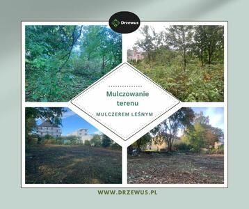 Drzewus - Usługi ogrodnicze i ziemne - 5