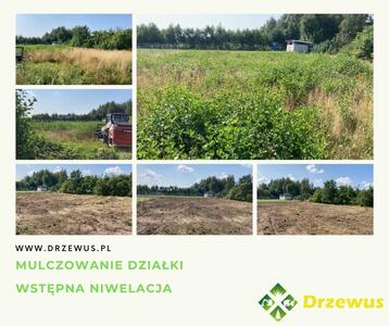 Drzewus - Usługi ogrodnicze i ziemne - 6