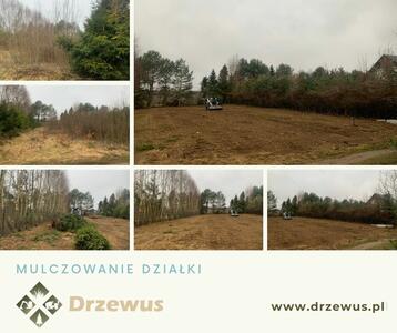 Drzewus - Usługi ogrodnicze i ziemne - 8