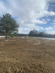 Drzewus - Usługi ogrodnicze i ziemne - 9