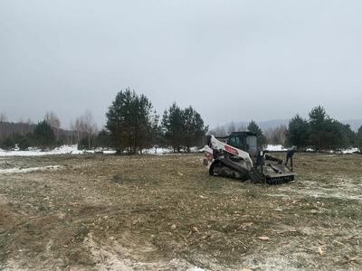 Drzewus - Usługi ogrodnicze i ziemne - 10