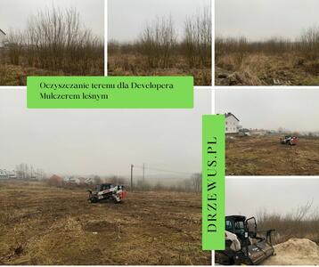 Drzewus - Usługi ogrodnicze i ziemne - 11