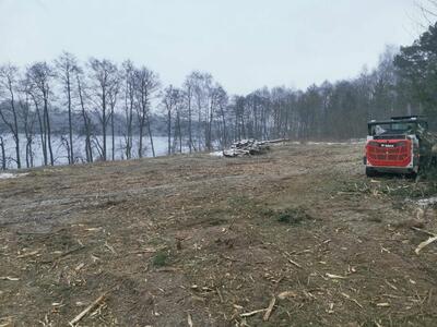 Drzewus - Usługi ogrodnicze i ziemne - 12