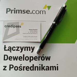 Ekspert Finansowy dla Twojego Biznesu - 13