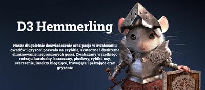 D3Hemmerling - 3