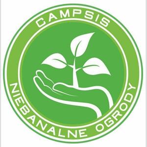  CAMPSIS-Niebanalne ogrody  - 1