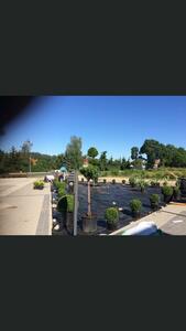  CAMPSIS-Niebanalne ogrody  - 3