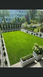  CAMPSIS-Niebanalne ogrody  - 6