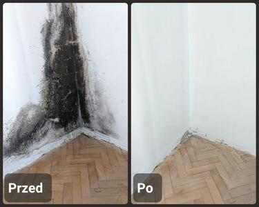 Derty Serwis Odgrzybianie Chemiczne - 1