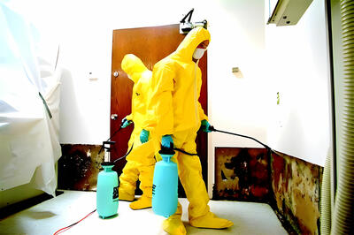 Derty Serwis Odgrzybianie Chemiczne - 7