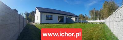 ICHOR Deweloper - 2