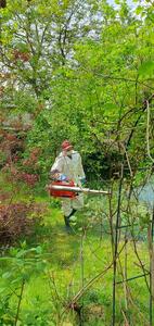 BugStop Dezynsekcja Odpluskwianie Warszawa - 3