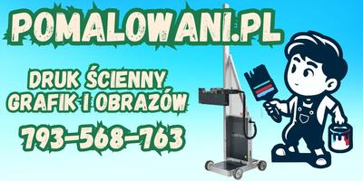 Pomalowani Radosław Wolny - 2