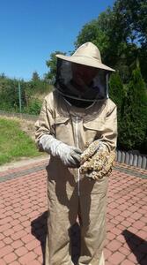 InsektKiller Dezynfekcja Dezynsekcja Deratyzacja - 6