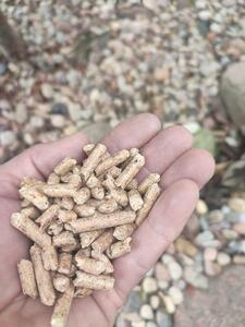 Bioopał Marcin Lenczewski - 16