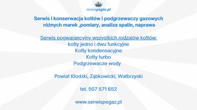 Serwis Pegaz - 2