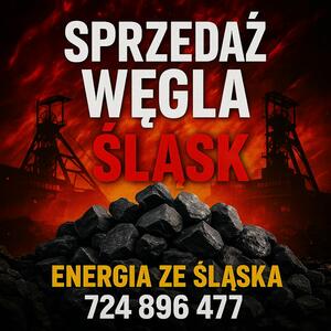 Węgiel Groszek Orzech Kostka Miał Ekogroszek