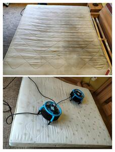 CleanArt TM  - 12