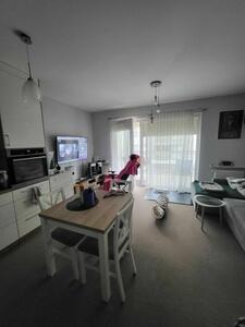 Kawalerka 31,2 m² – Ślichowice | PRZYJAZNA KOTOM |