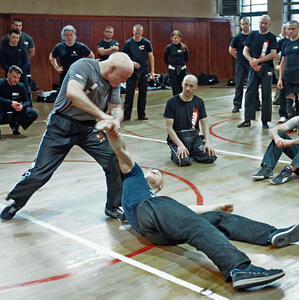 Krav Maga System - 2