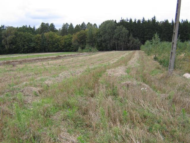 MAKOW MAZOWIECKI BUDOWLANA