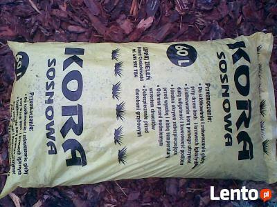 KORA SOSNOWA OBORNIK ZIEMIA WROCŁAW DOLNY ŚLĄSK Z DOSTAWĄ