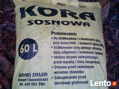 KORA SOSNOWA OBORNIK ZIEMIA WROCŁAW DOLNY ŚLĄSK Z DOSTAWĄ