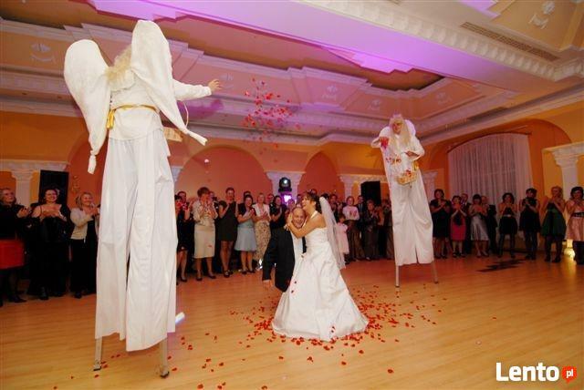 Anioły na szczudłach na ślub i wesele
